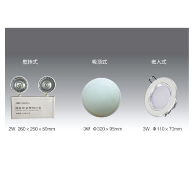 集中電源集中控制型消防應急照明燈具