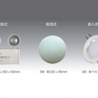 集中電源集中控制型消防應(yīng)急照明燈具